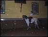 DCP_0774.JPG