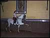 DCP_0778.JPG