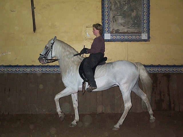DCP_0764.JPG