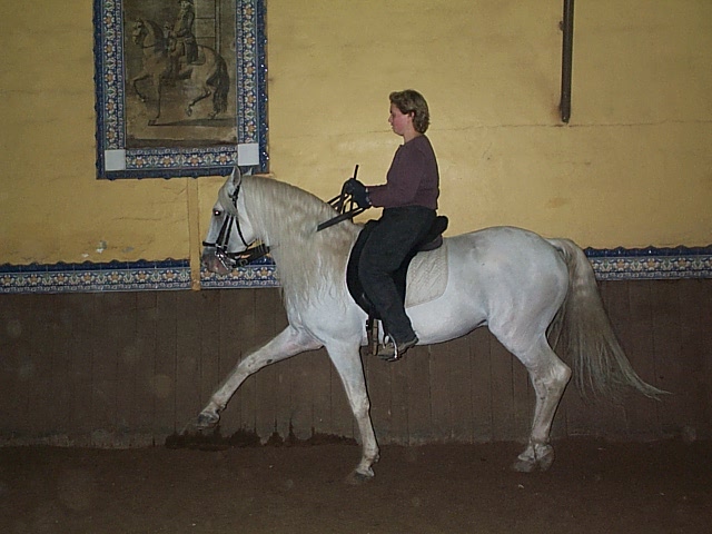 DCP_0765.JPG