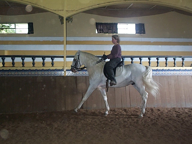 DCP_0766.JPG