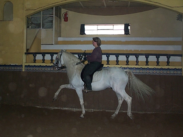 DCP_0768.JPG
