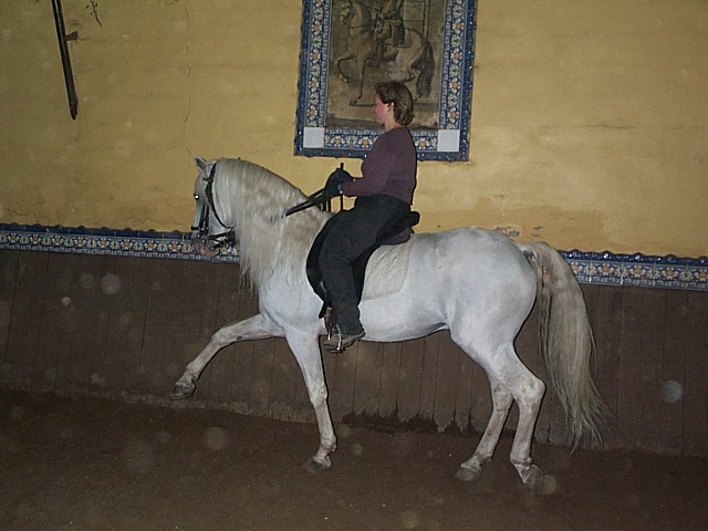 DCP_0769.JPG