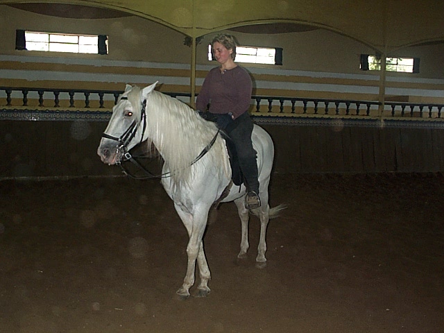 DCP_0770.JPG