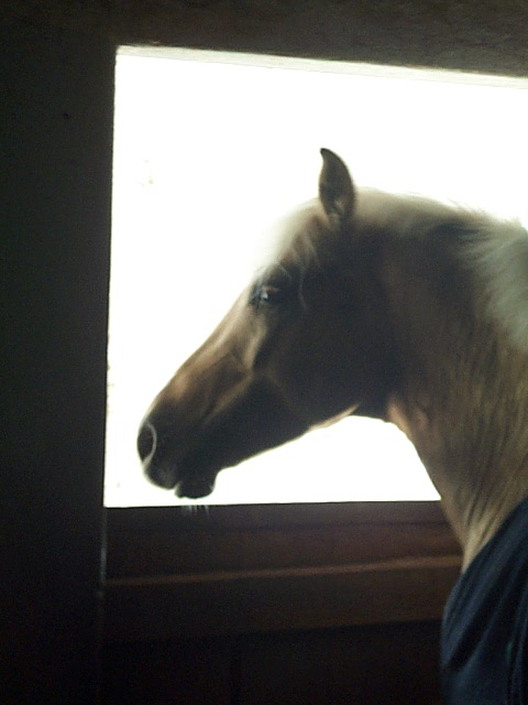 DCP_0746.JPG