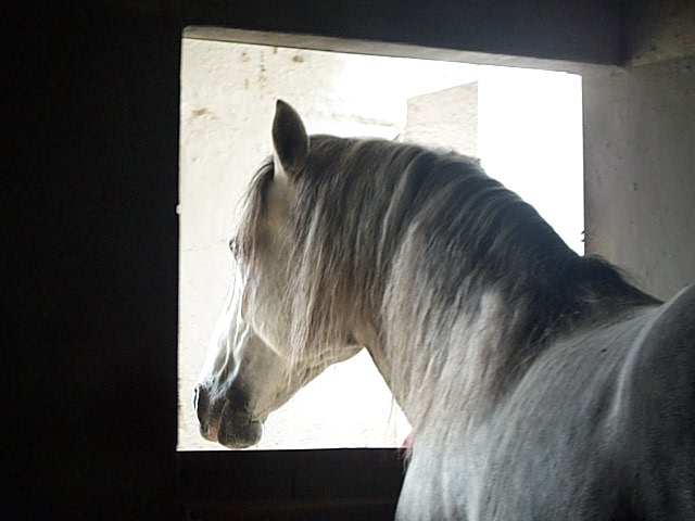 DCP_0796.JPG