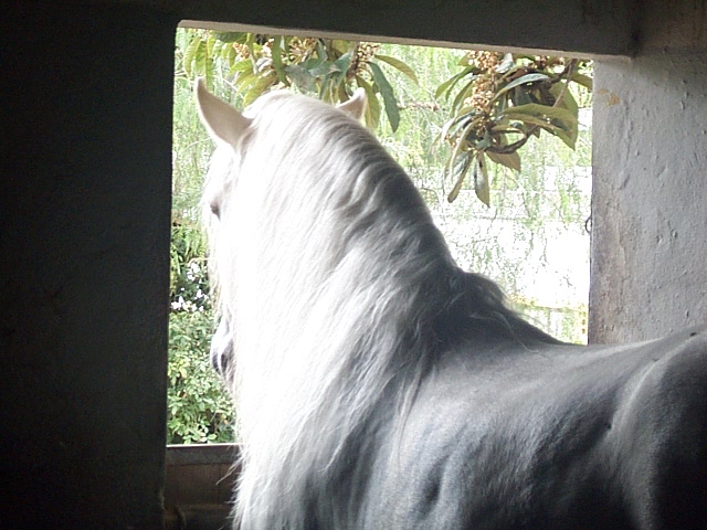 DCP_0800.JPG