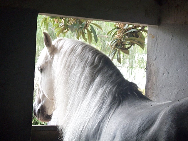 DCP_0802.JPG