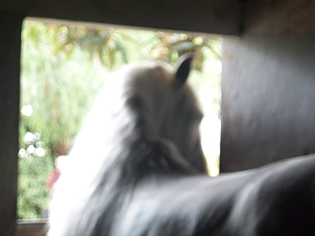 DCP_0804.JPG