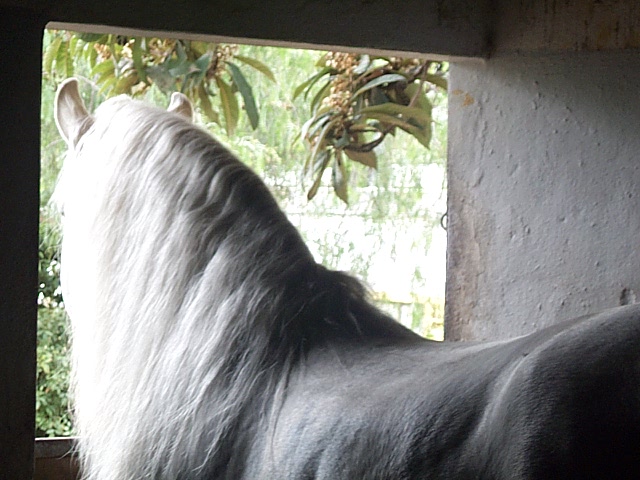 DCP_0805.JPG