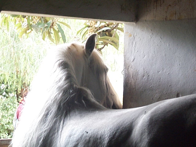 DCP_0806.JPG