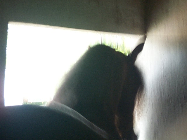 DCP_0807.JPG