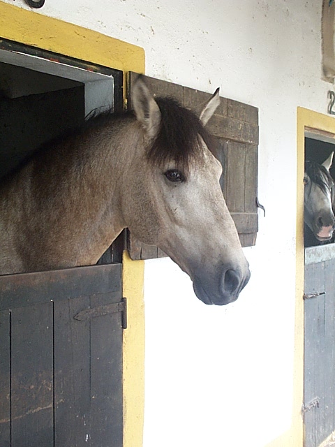 DCP_0808.JPG