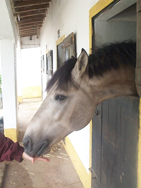 DCP_0810.JPG