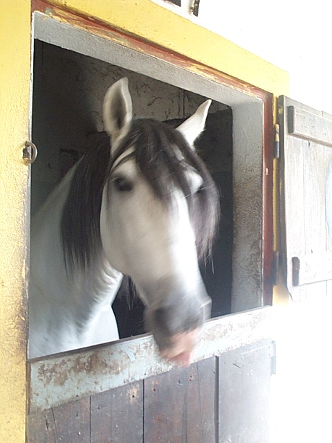 DCP_0813.JPG
