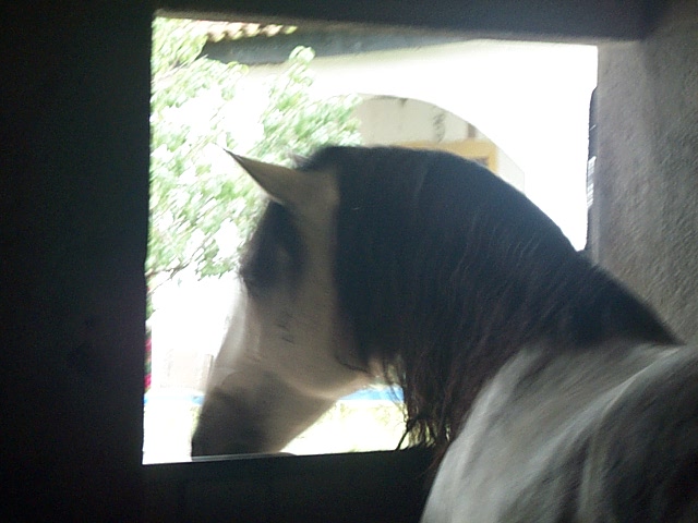 DCP_0824.JPG