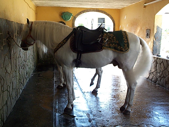DCP_0914.JPG