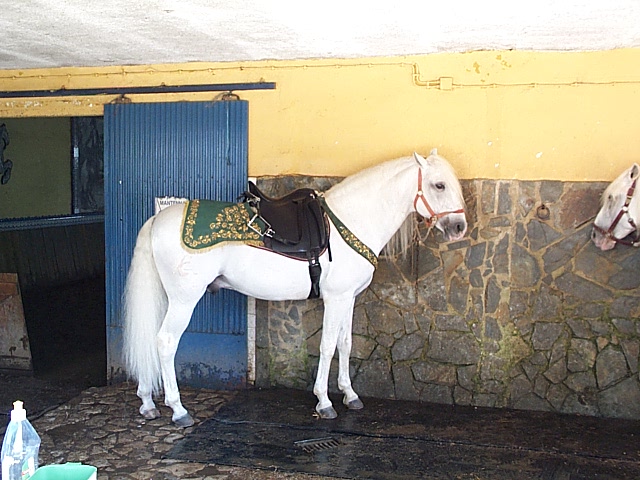 DCP_0917.JPG