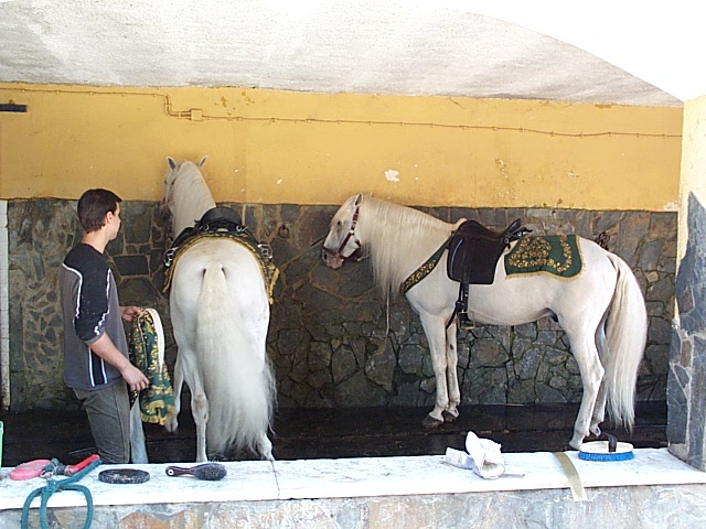 DCP_0919.JPG