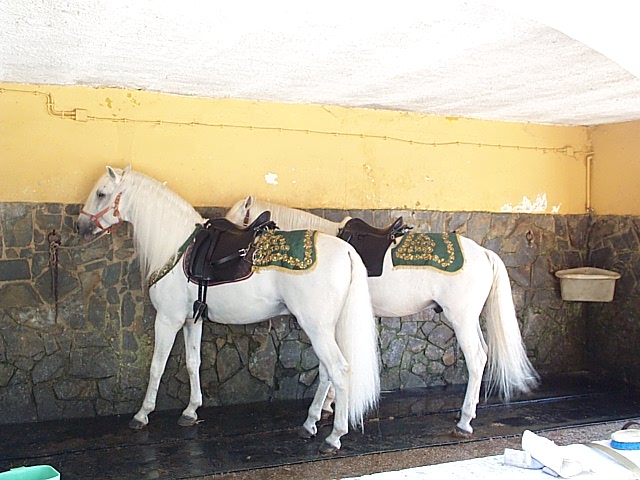 DCP_0920.JPG