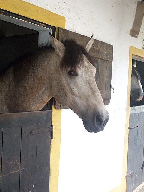 DCP_0809.JPG