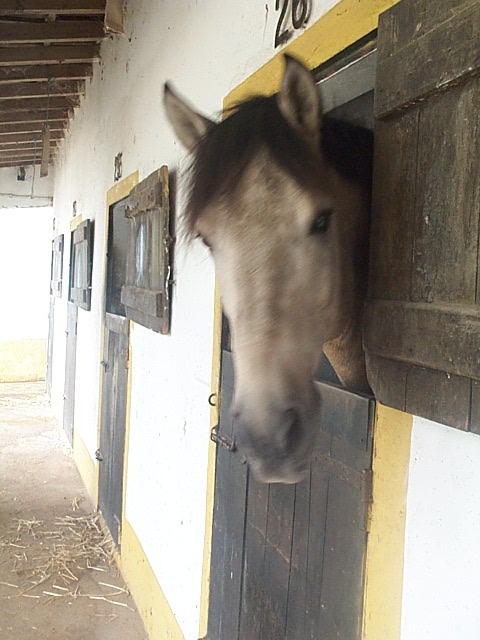 DCP_0811.JPG