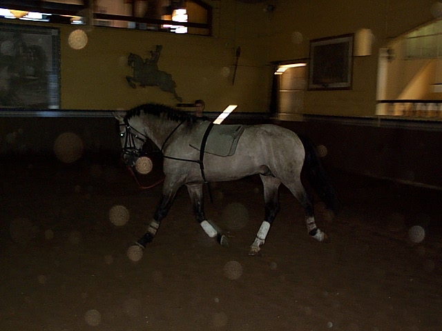 DCP_0913.JPG