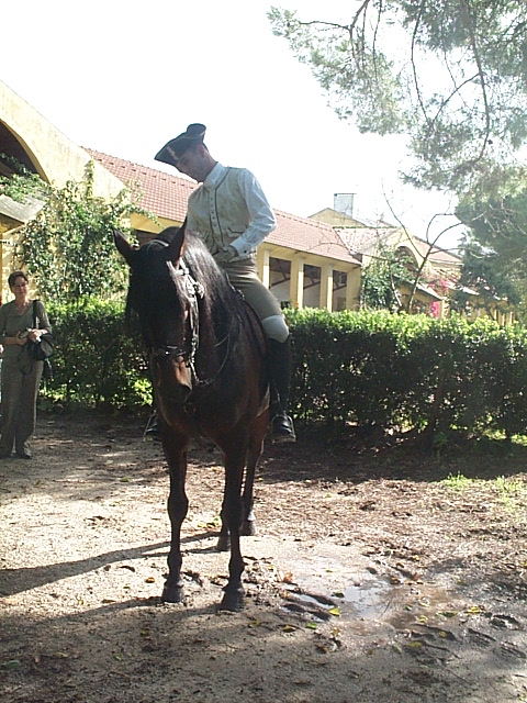 DCP_0828.JPG