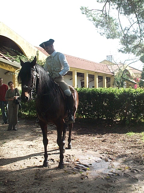 DCP_0829.JPG
