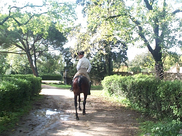 DCP_0830.JPG