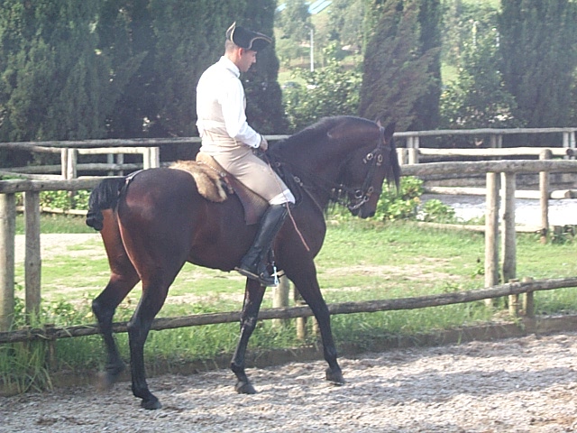 DCP_0836.JPG