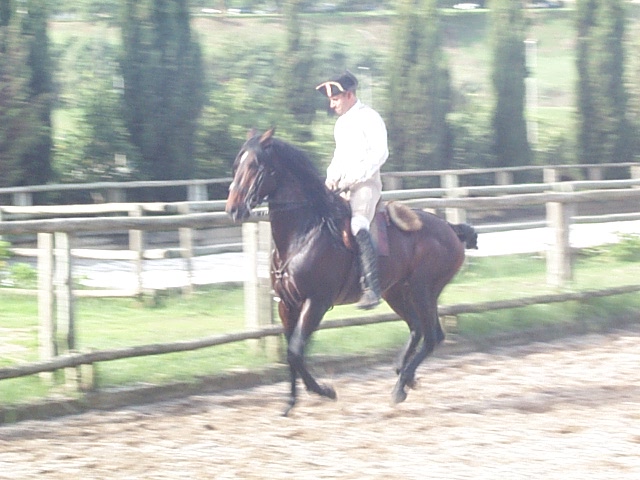 DCP_0859.JPG