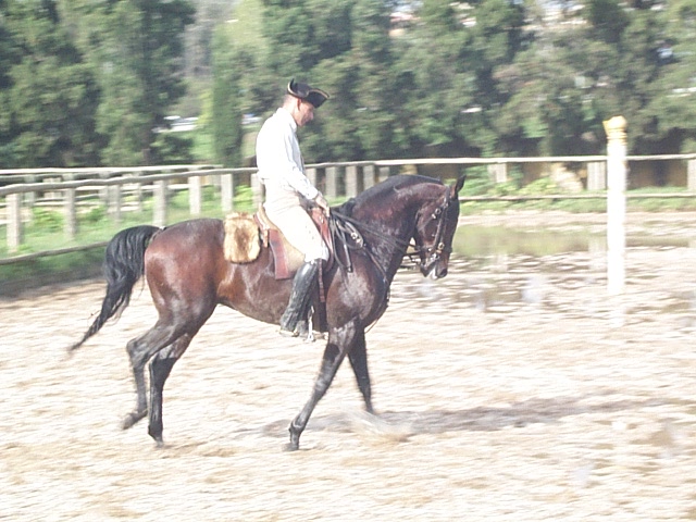 DCP_0863.JPG