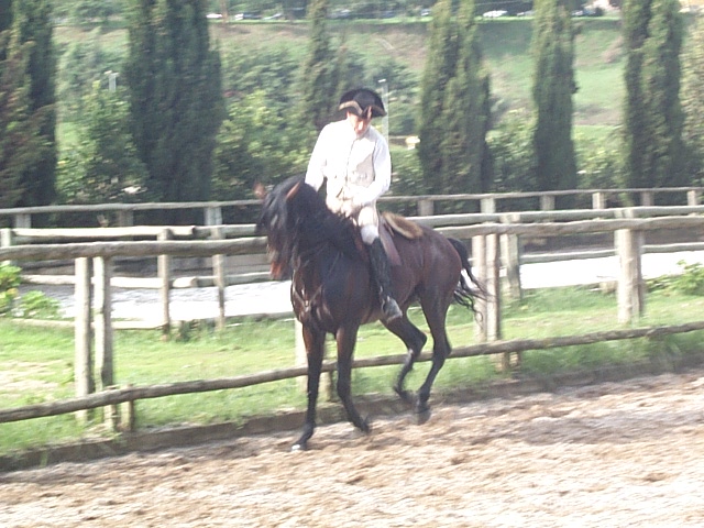 DCP_0864.JPG