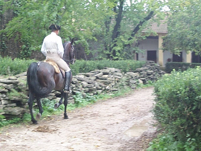 DCP_0865.JPG