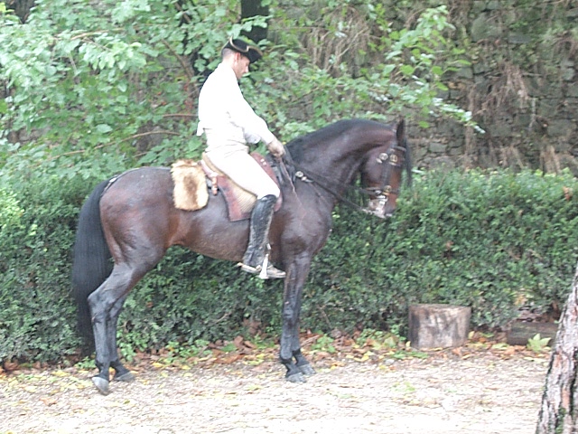 DCP_0866.JPG