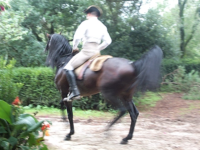 DCP_0869.JPG