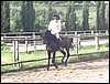 DCP_0864.JPG