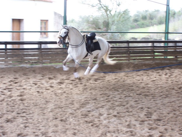 100_4511.JPG