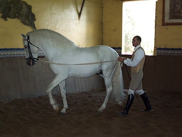 DCP_0216.JPG