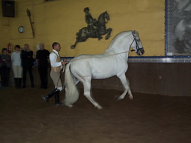 DCP_0234.JPG
