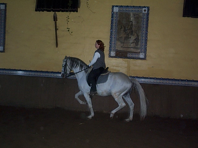 DCP_0102.JPG