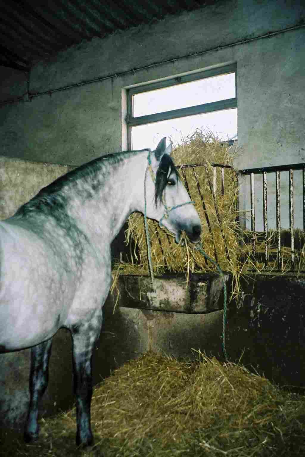 img009.jpg