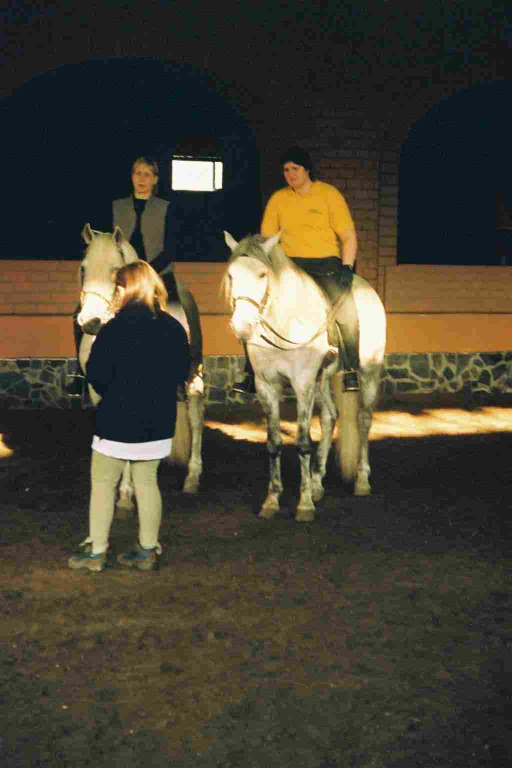 img012.jpg