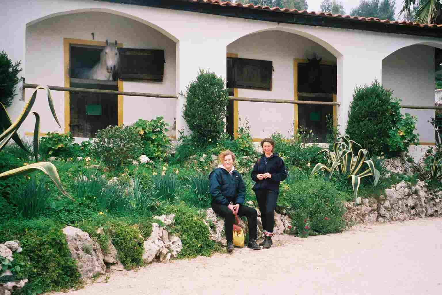 img018.jpg
