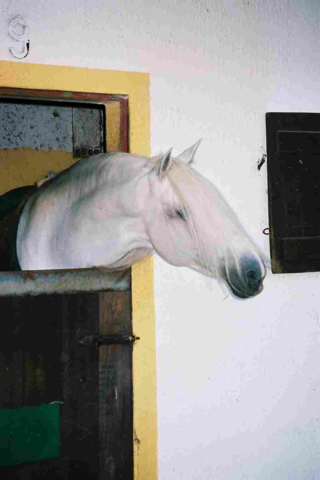 img023.jpg