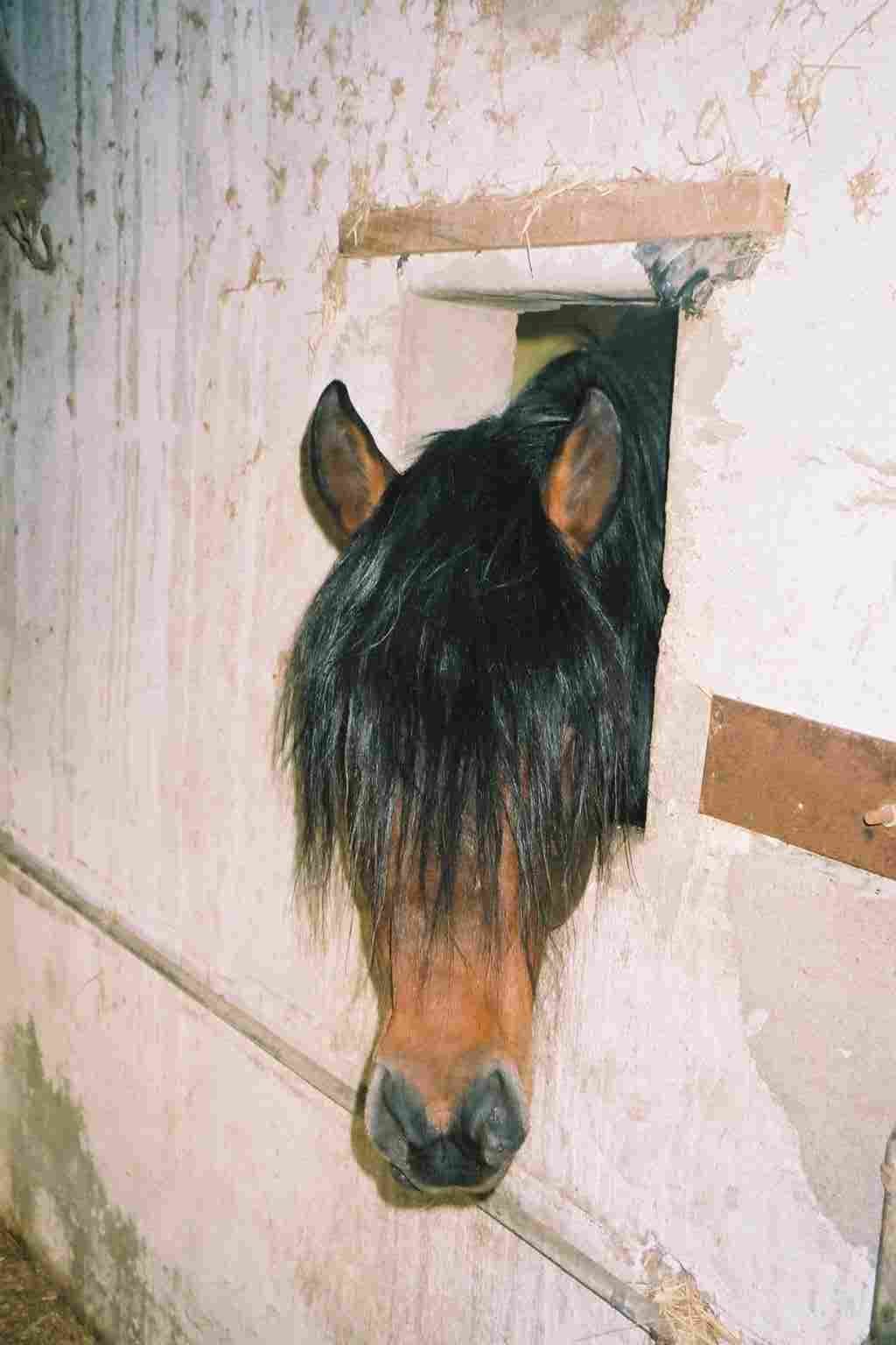 img025.jpg