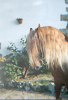 club14.jpg