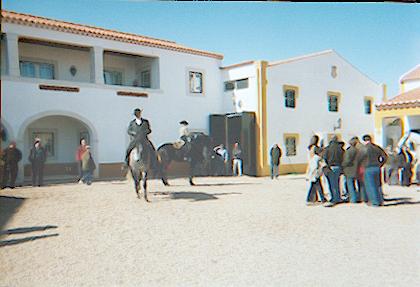 golega1.jpg