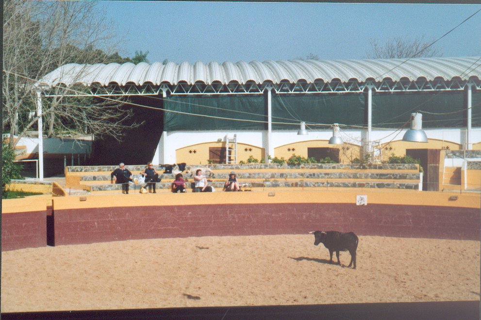 dejeuner(23).jpg